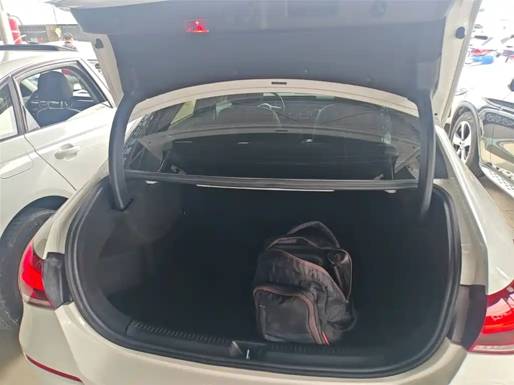 Mercedes-Benz A-Class 2020 A 200 L фото 19
