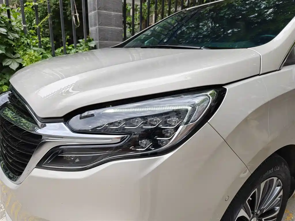 Buick GL8 2021 ES Landlord 653T Flagship фото 15