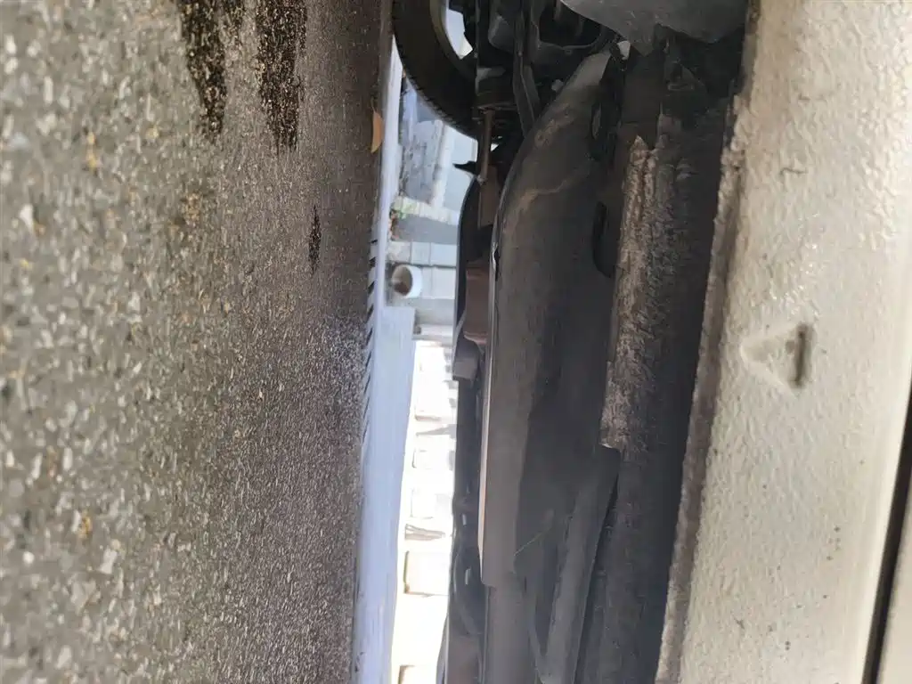 Škoda Skoda Rapid Spaceback 2018 1.6L Manual Comfort фото 16