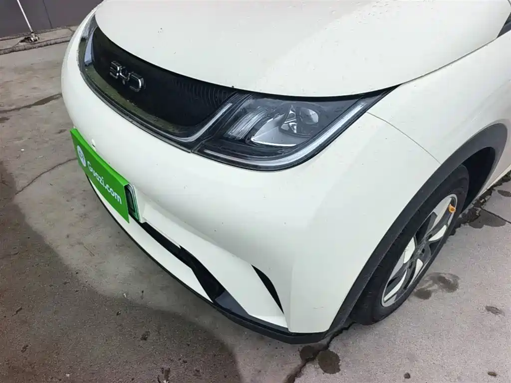 BYD Dolphin 2025 420km Freedom Edition фото 24