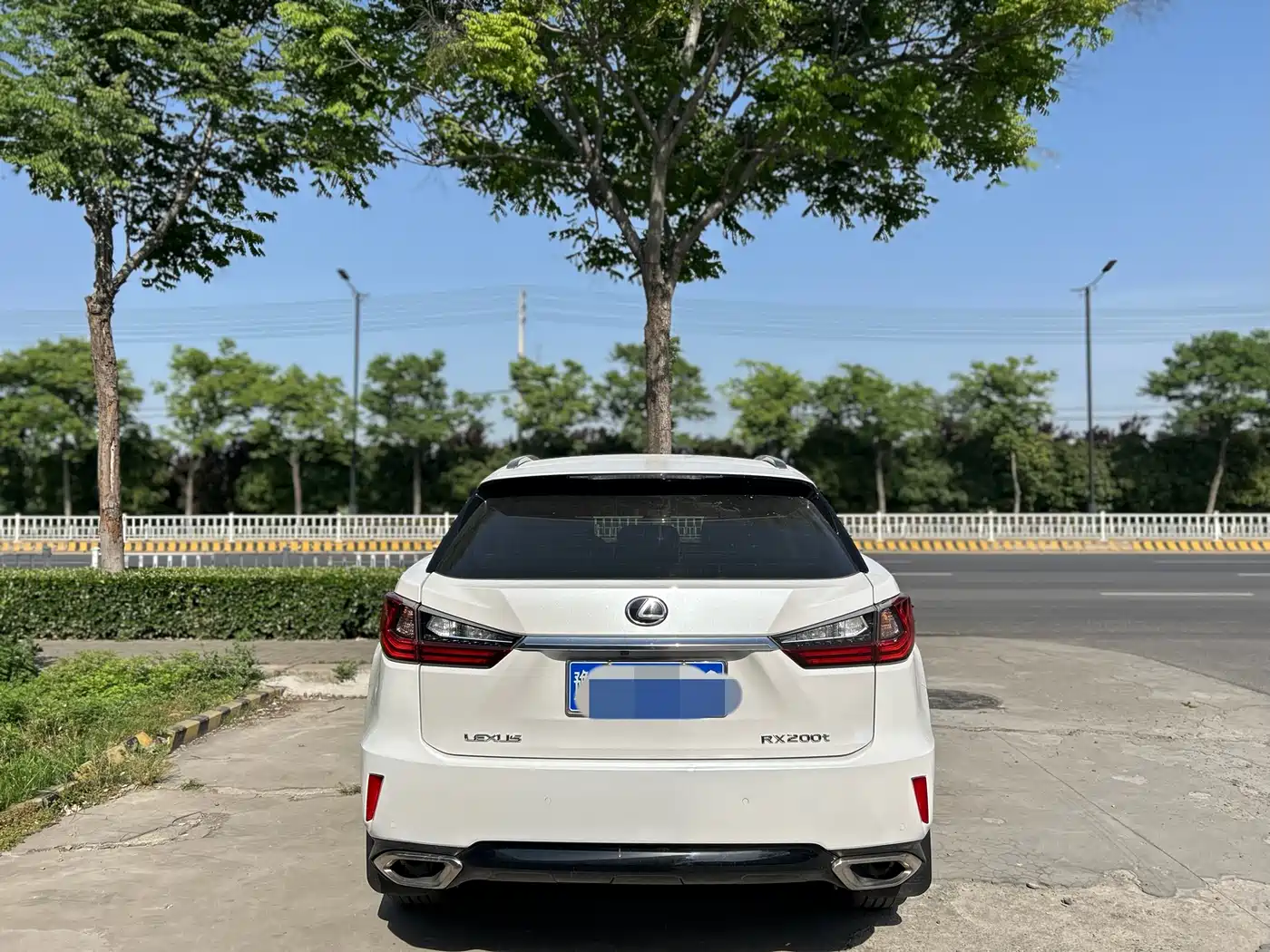 LEXUS RX