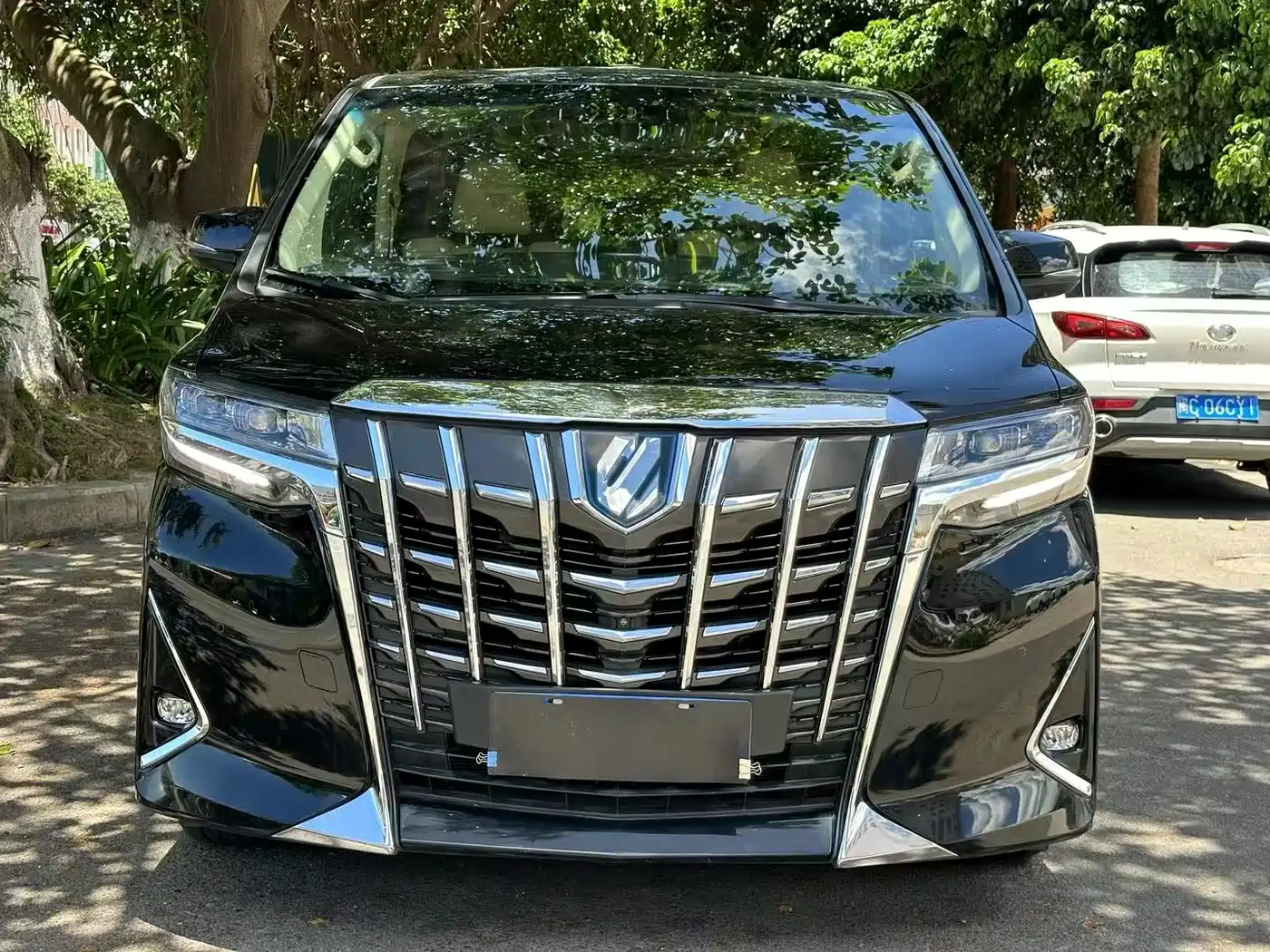 Toyota Alphard 2019 Hybrid 2.5L Luxury фото 2