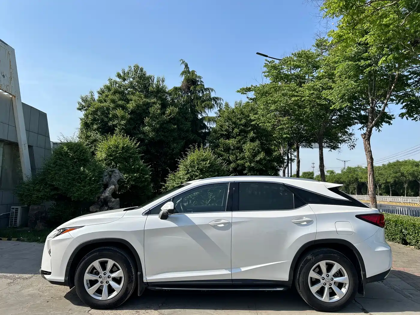 LEXUS RX