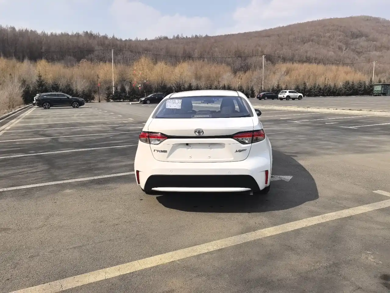 Toyota Levin 2023 TNGA 1.5L CVT Progressive фото 6