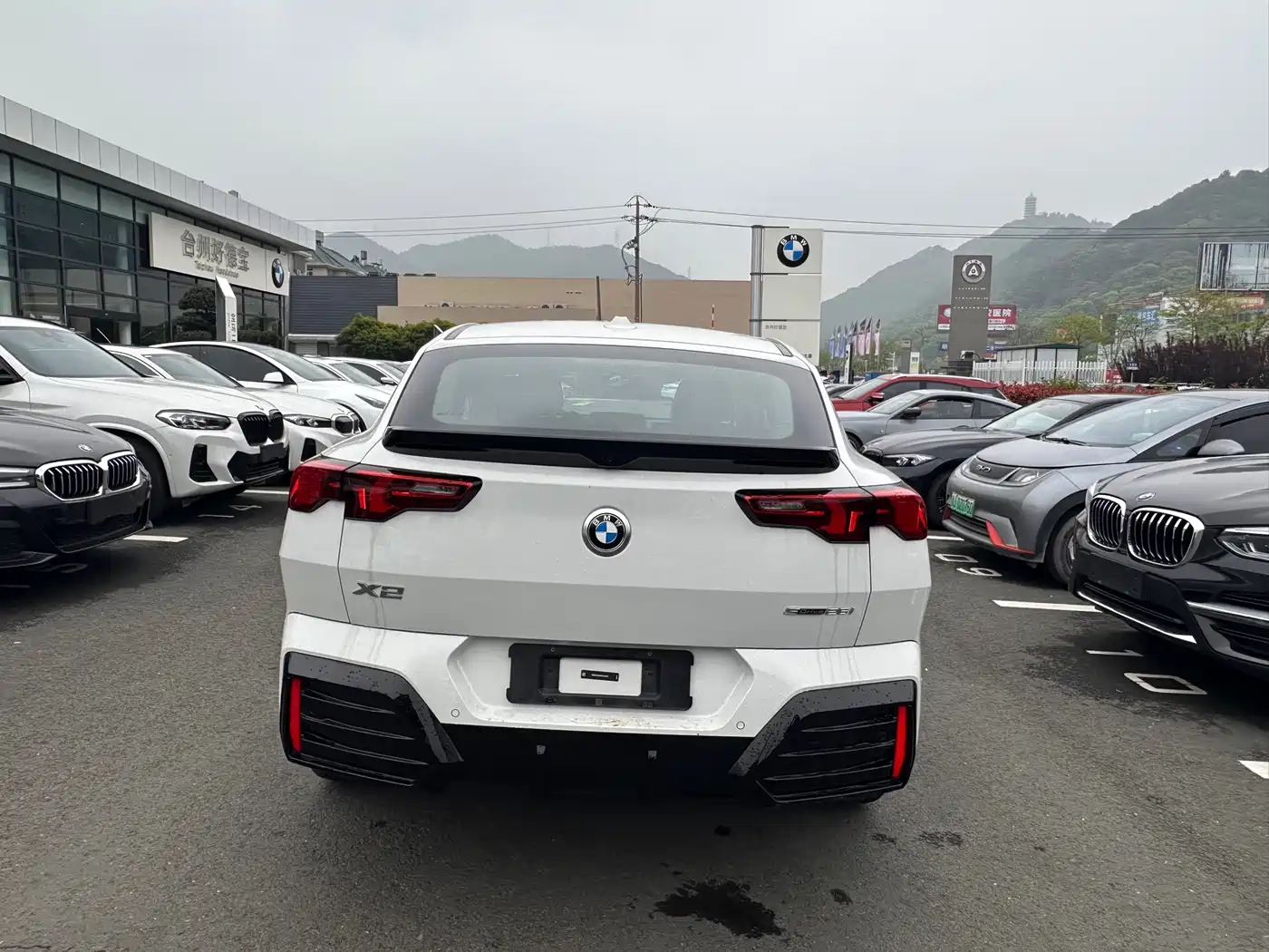 BMW X2 (Import) 2024 sDrive25i M Sport Package фото 6