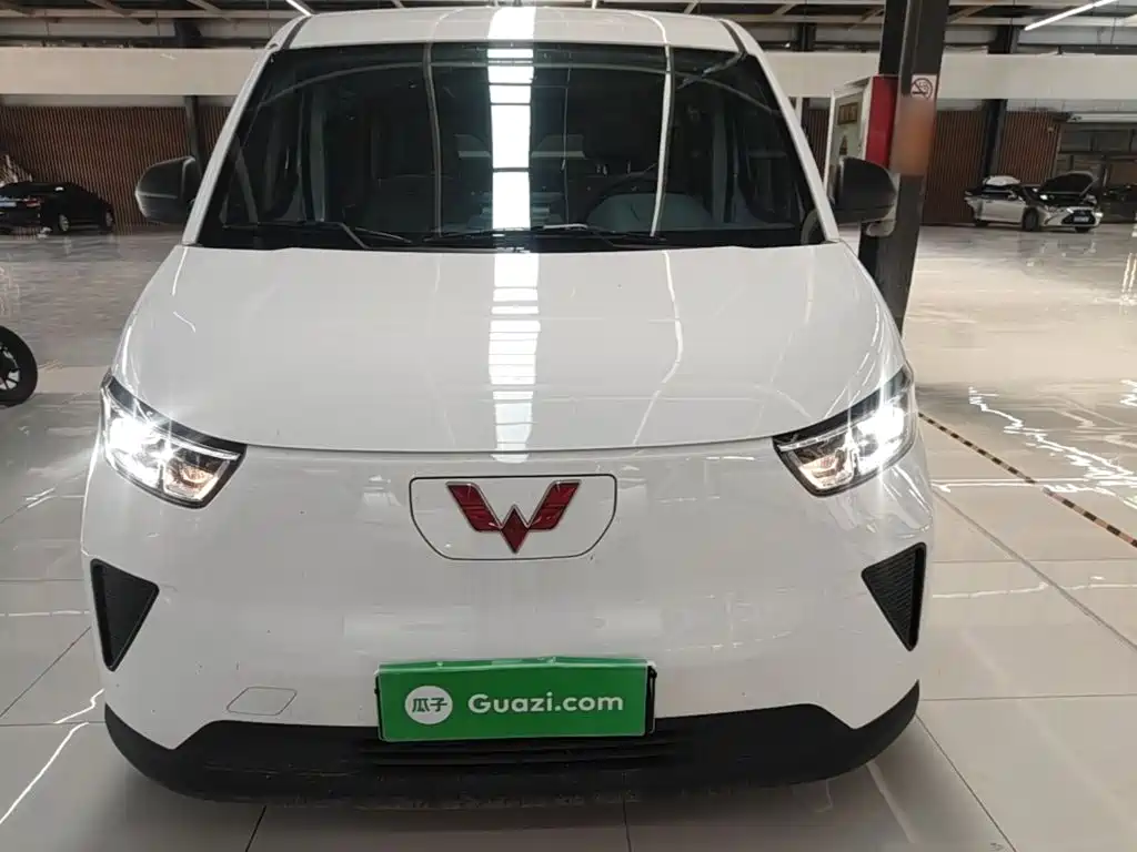 Wuling Motors Wuling Yangguang 2025 2024 300KM Comfort Bus Version 75kW