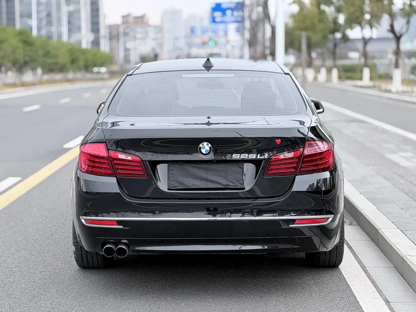 BMW 5 Series 2017 525Li Luxury Design Package фото 15