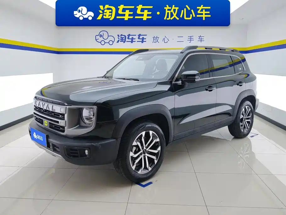 Haval Dargo 2024 2024 1.5T DCT Border Collie Edition