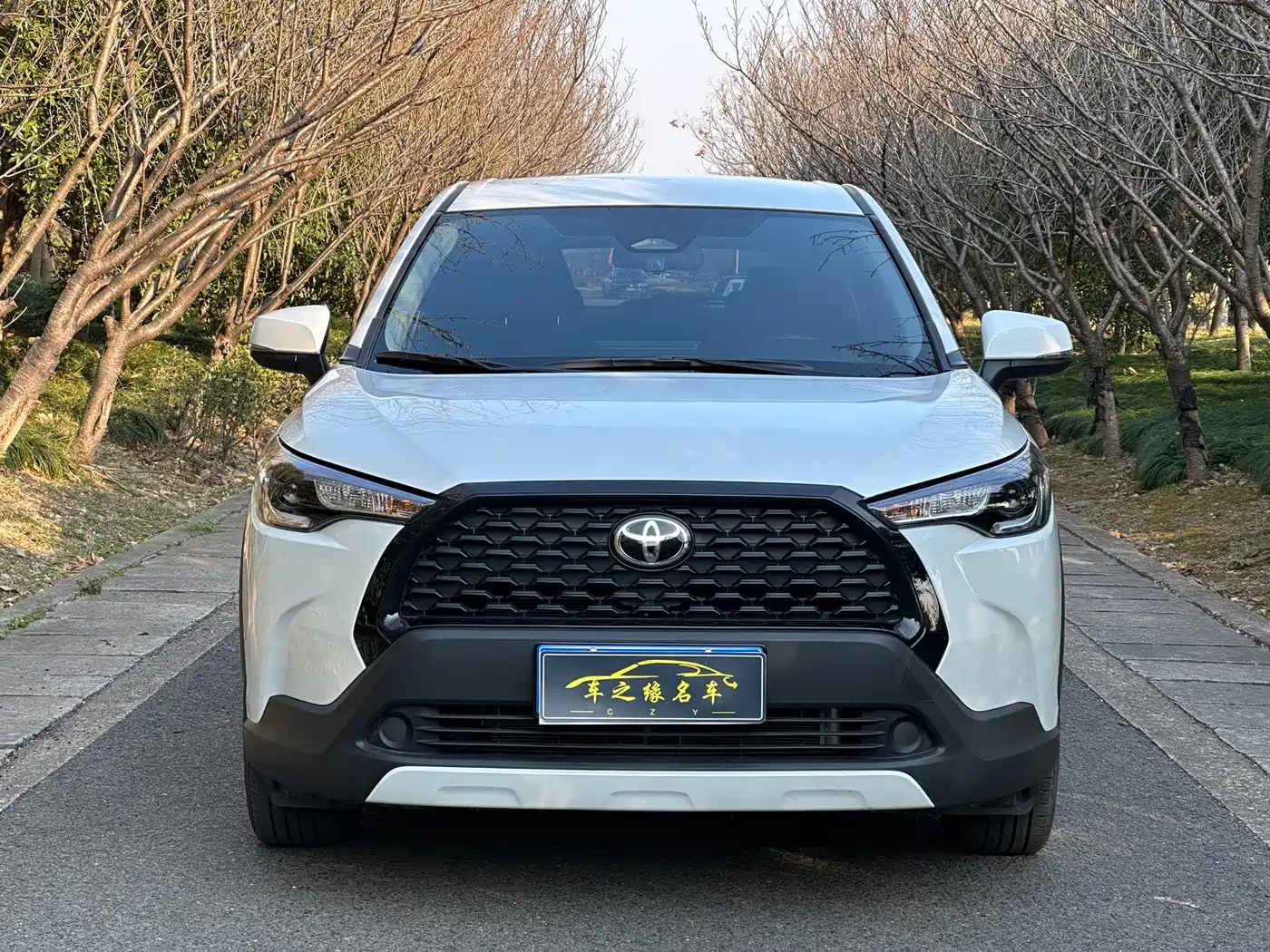 Toyota Corolla Cross 2024 2.0L Smart Hybrid Dual Engine Pioneer Edition фото 2