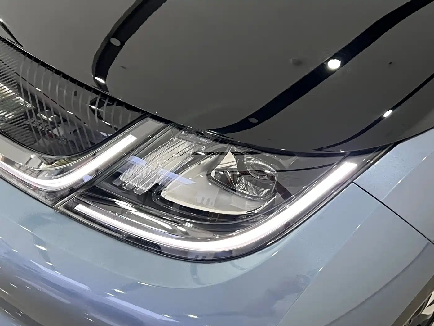 BYD Dolphin 2023 401km Knight Edition фото 3