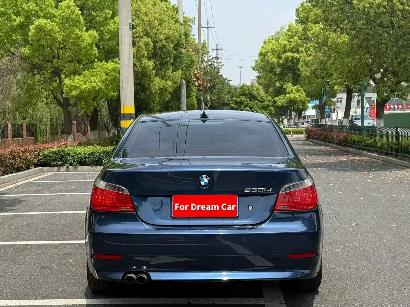 BMW 5 Series 2007 530Li Elegance фото 7