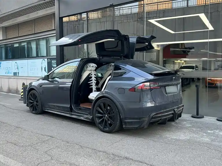 TESLA MODEL X