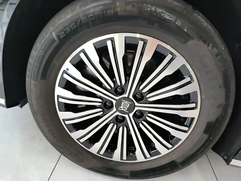 Фото 23 - BYD Xia
