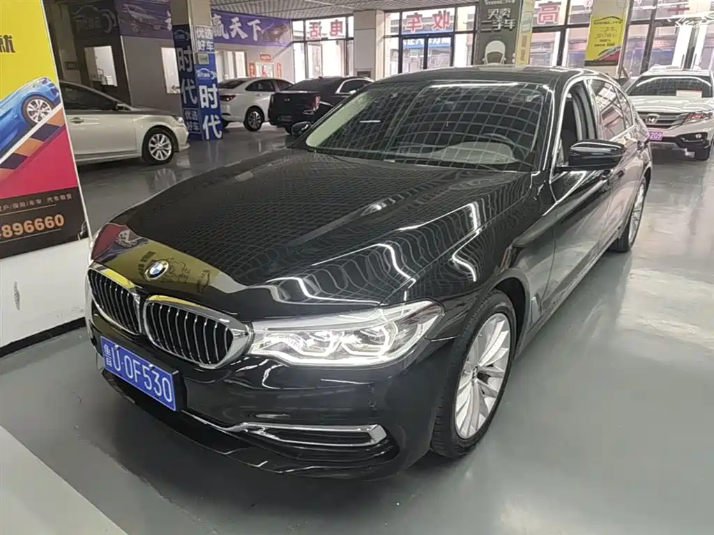 BMW 5 Series 2020 530Li Leading Luxury Package
