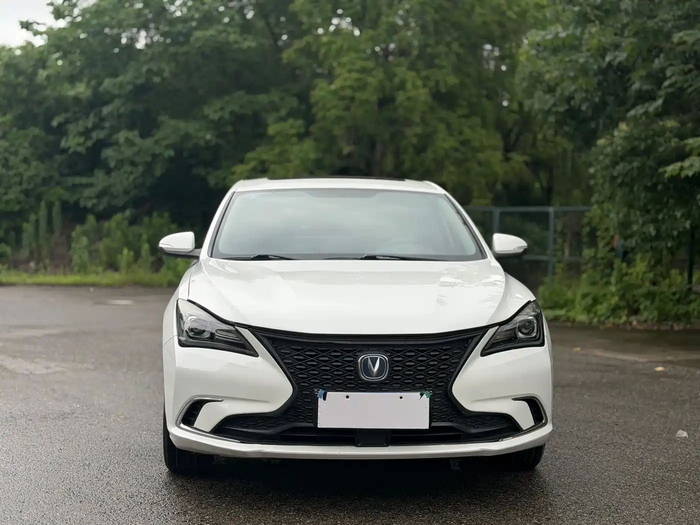 Photo 2 - Changan Eado