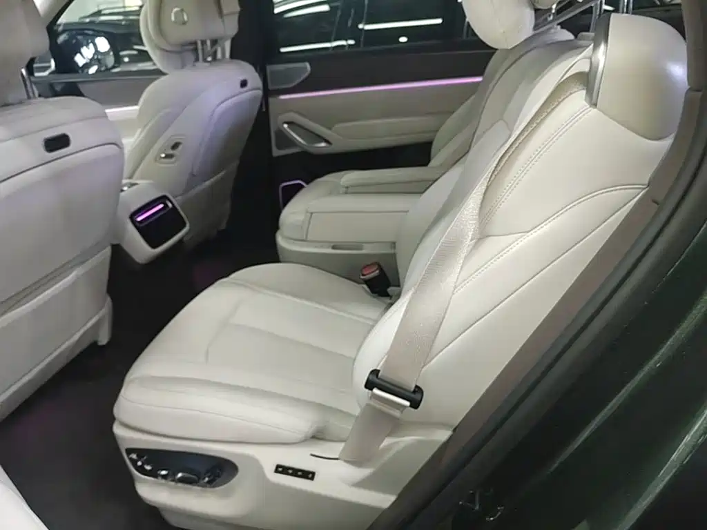 Denza N9 2025 2025 Flagship Model