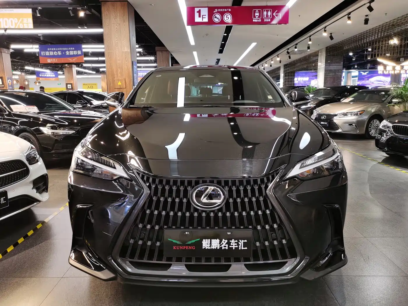 Lexus NX 2023 2023 350h FWD Dynamic Edition