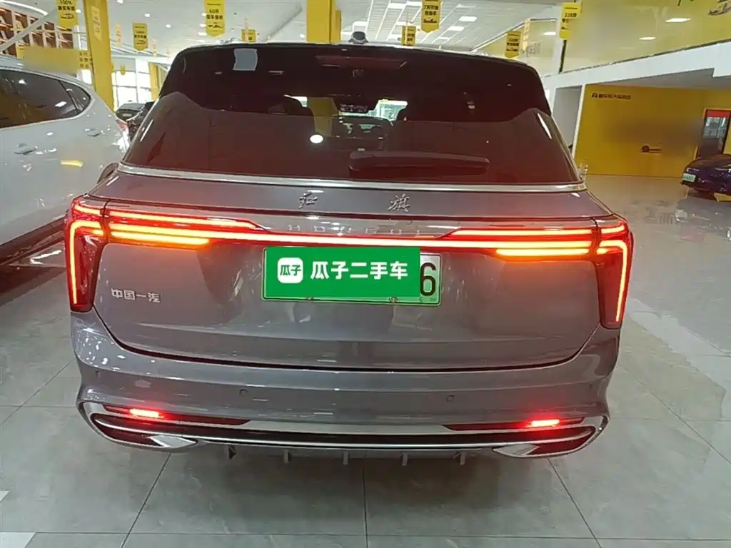 Hongqi E-HS9 2022 660km Qi Chang Edition (6-seater) фото 6