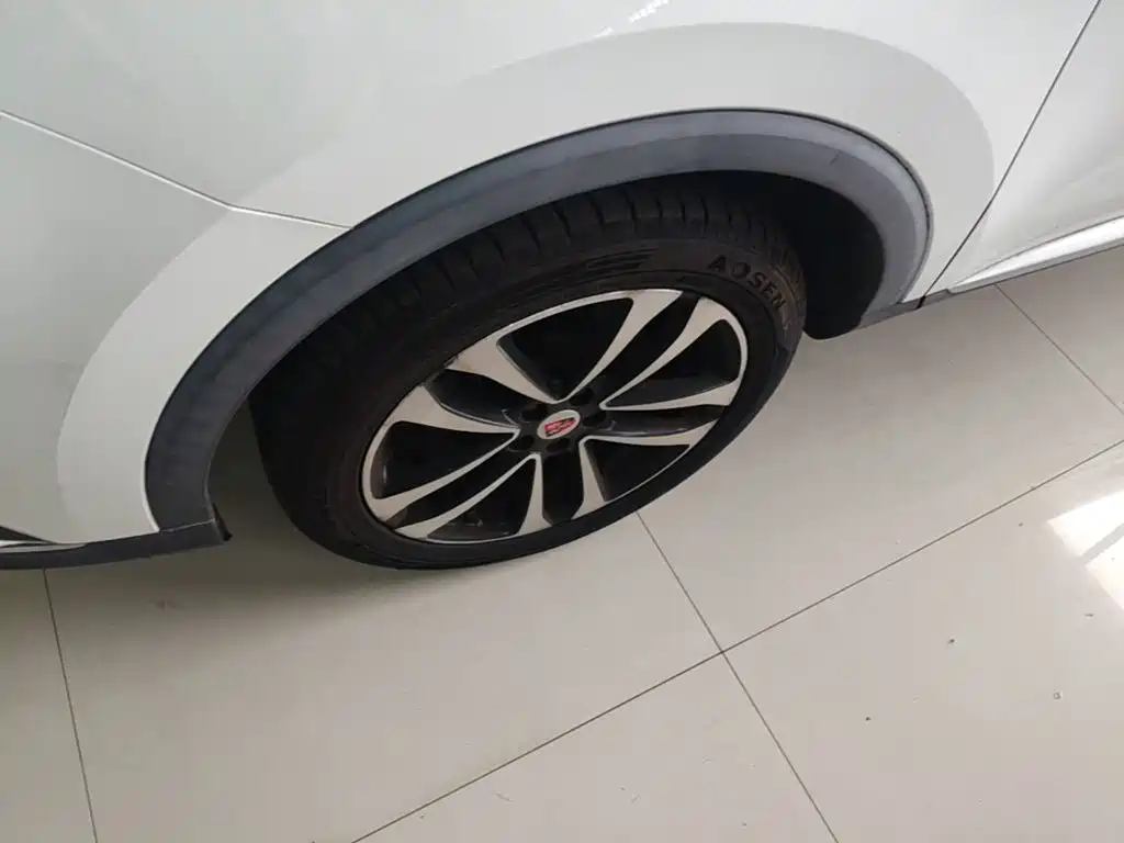 Фото 23 - Roewe RX3