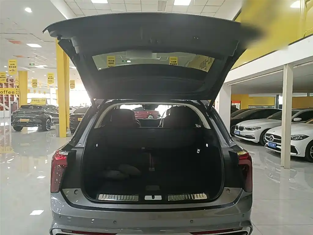Hongqi E-HS9 2022 660km Qi Chang Edition (6-seater) фото 19