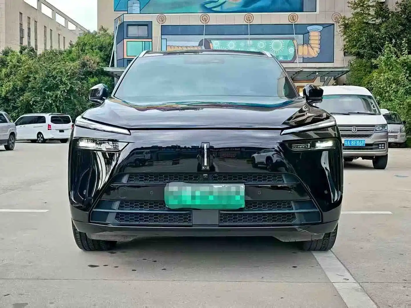 WEI PAI WEI BRAND BLUE MOUNTAIN