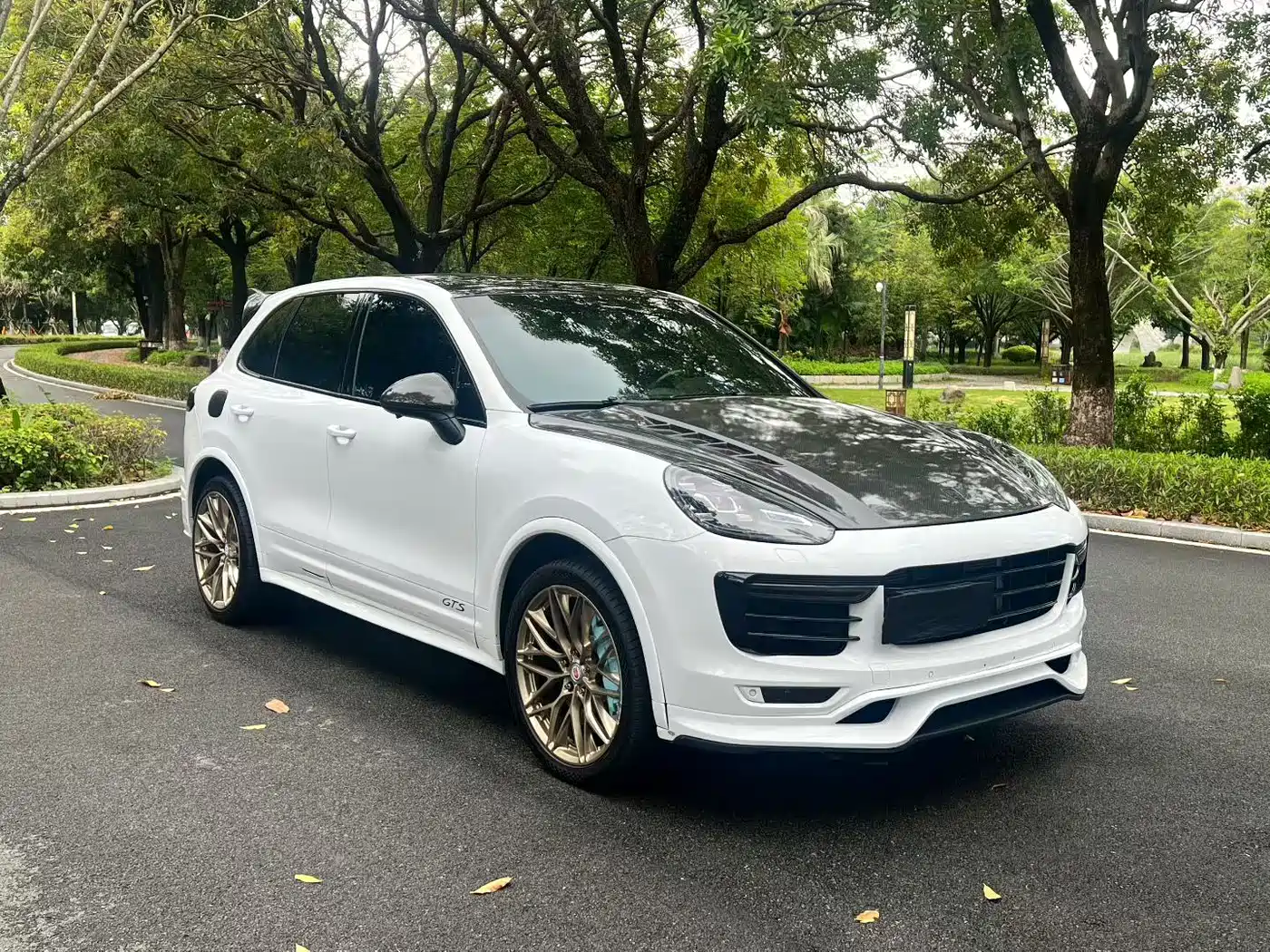 Porsche Cayenne 2015 Cayenne 3.0T фото 3