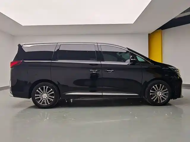 GAC Trumpchi Trumpchi M8 2021 Leading Show Series 390T Ultimate Edition фото 12