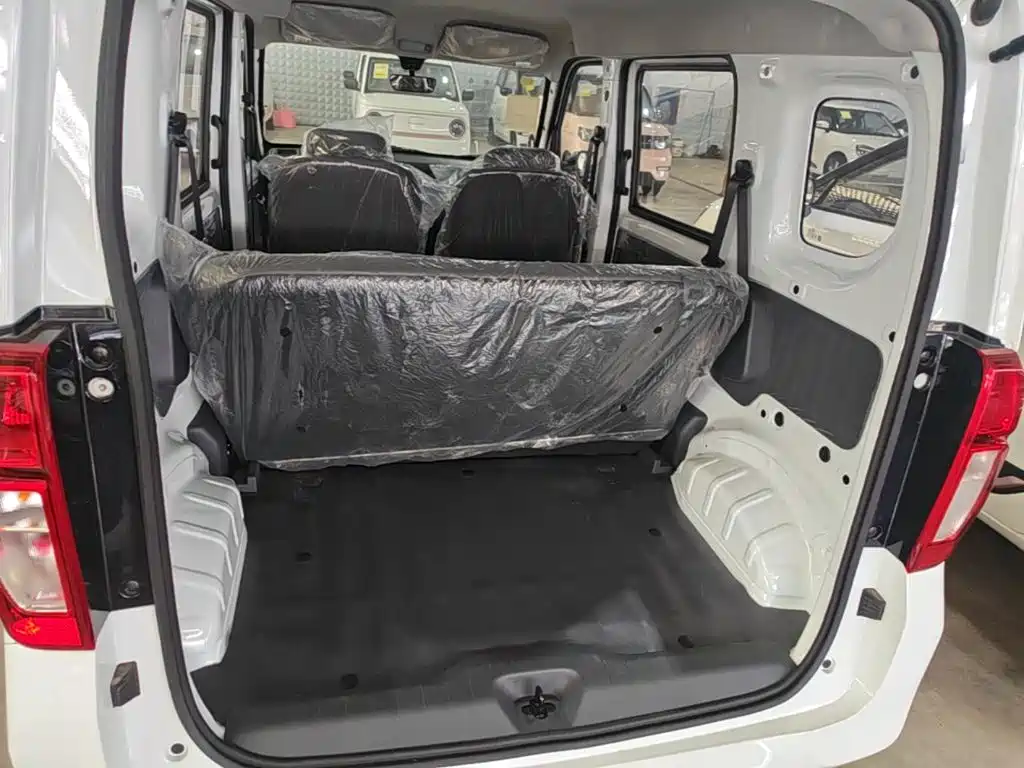 Wuling Motors Wuling Zhiguang NEV 2026 2025 Model 305km Base Version