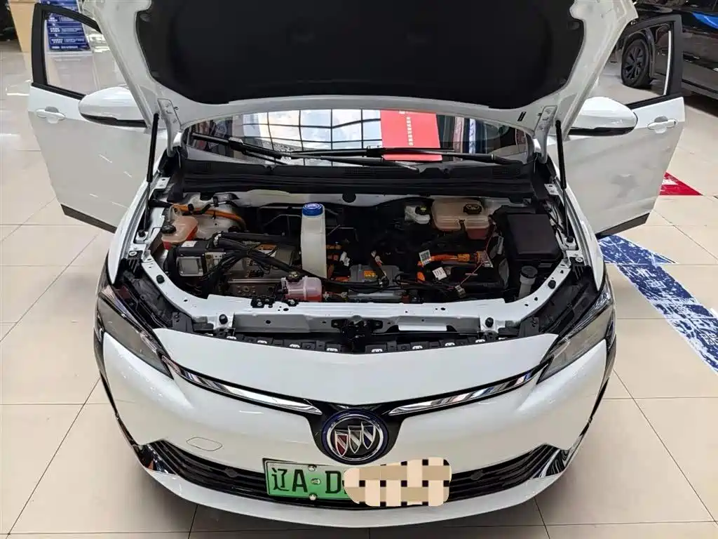 BUICK SLIGHTLY BLUE 6