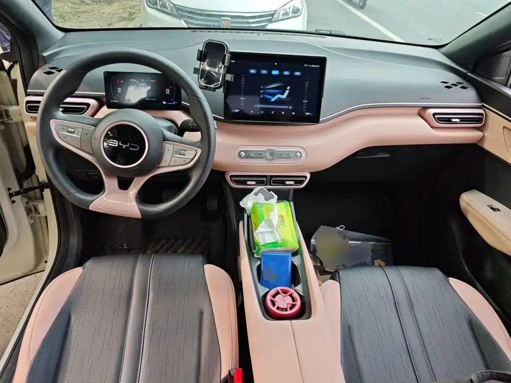 BYD Seagull 2026 2025 Smart Drive Edition 305km Vitality Version