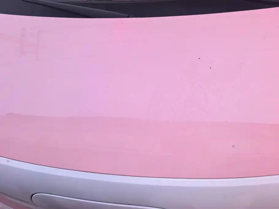 BESTUNE PENTIUM PONY