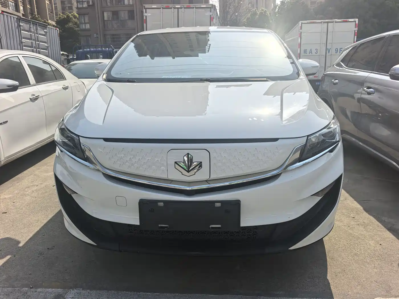 LIFAN MOTORS LIFAN MAPLE LEAF 80V