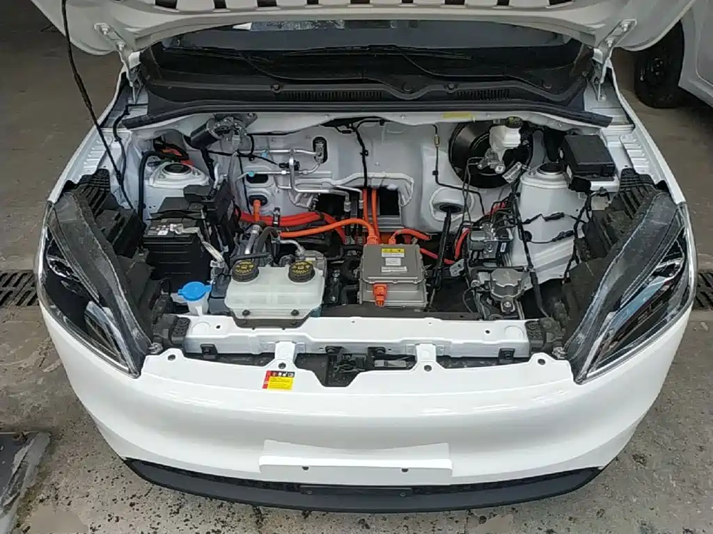 Wuling Motors Wuling Hongguang New Energy 2026 2024 Model Pure Electric 300KM Utility Version