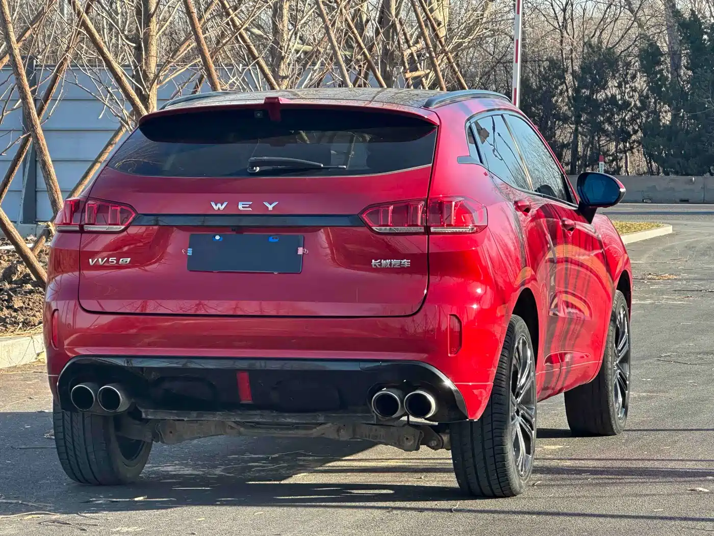 WEI PAI WEI BRAND VV5