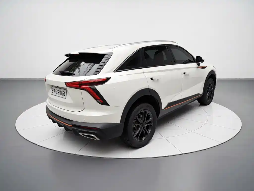 Haval Shenshou 2022 2022 1.5T Smart Leader Edition