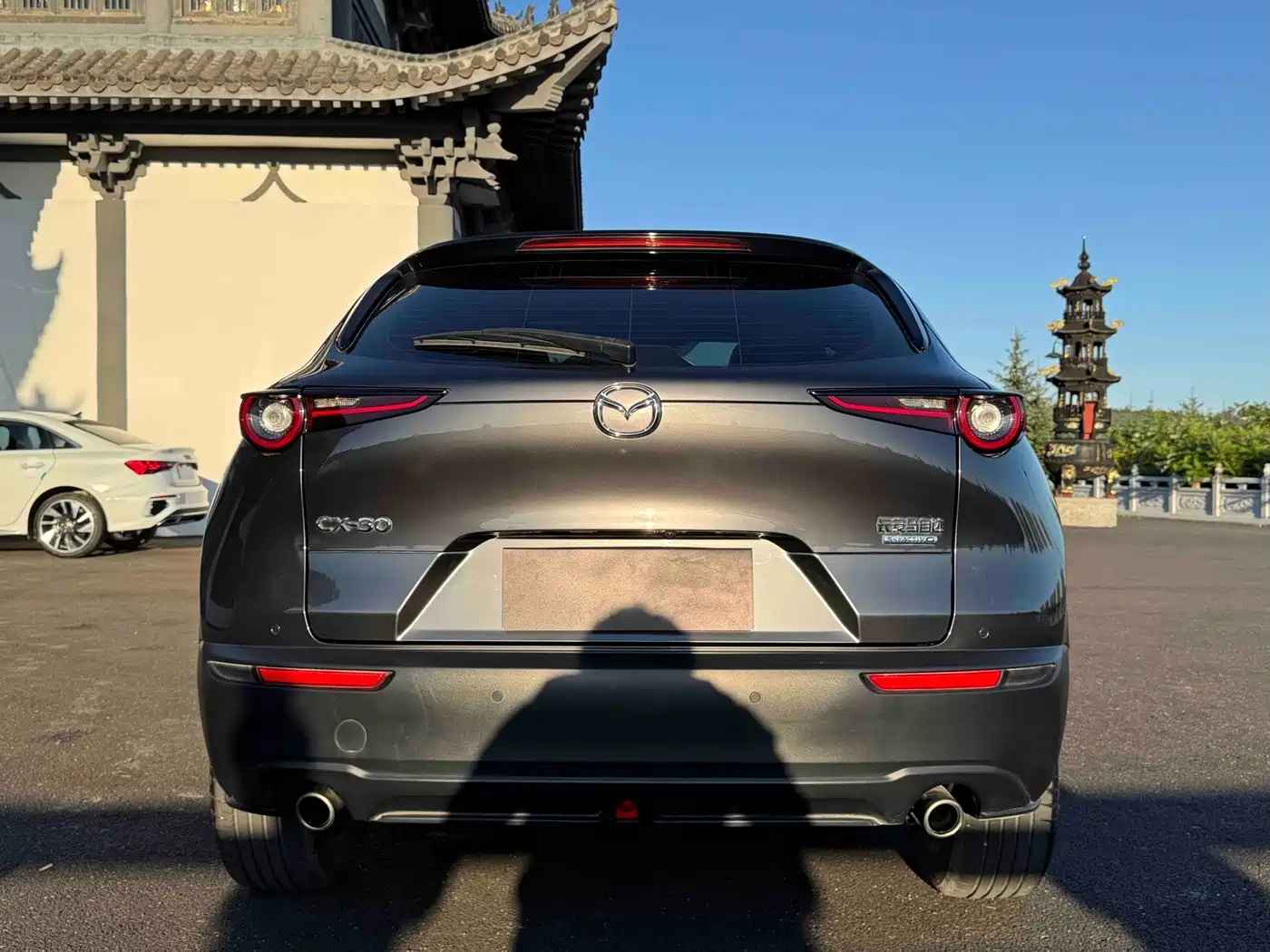 Mazda CX-30 2022 2021 2.0L Auto Elegant Joy Type