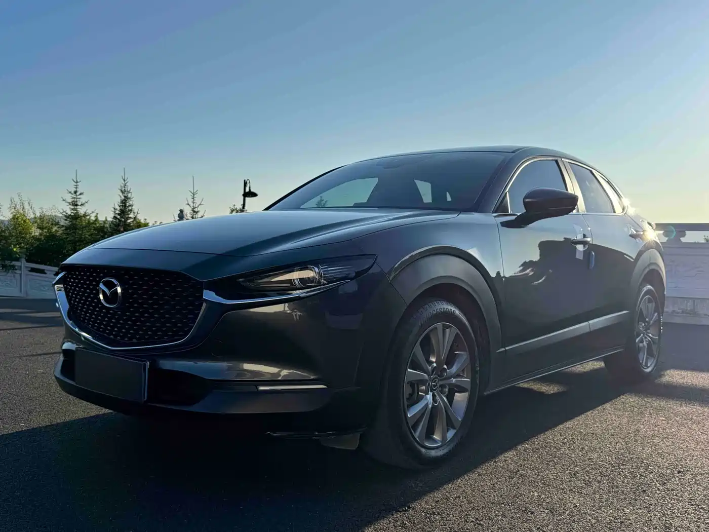 Mazda CX-30 2022 2021 2.0L Auto Elegant Joy Type