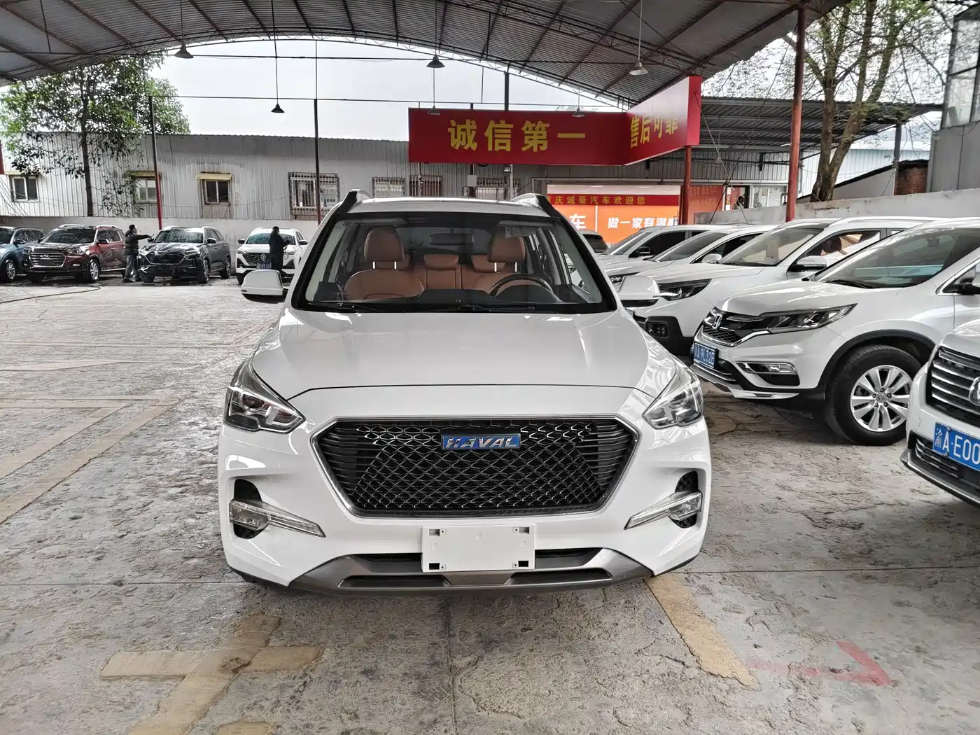 HAVAL M6