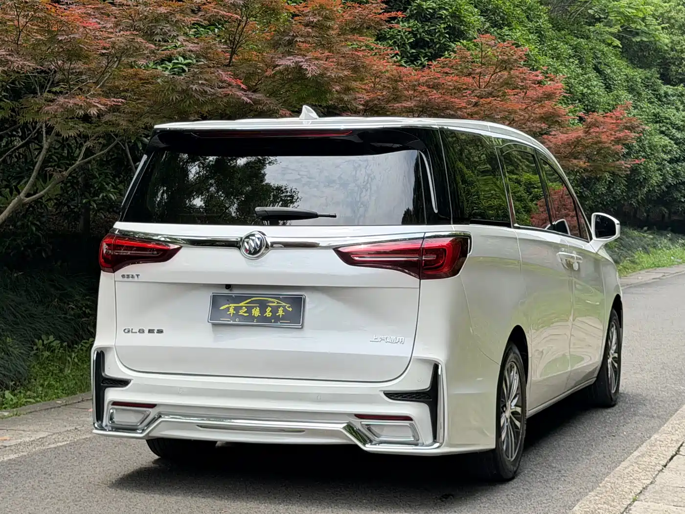 Buick GL8 2022 ES Landmark 653T Comfort фото 16