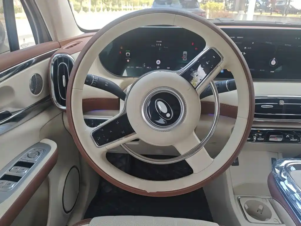 Ora Ballet Cat 2024 2023 401km Premium Model