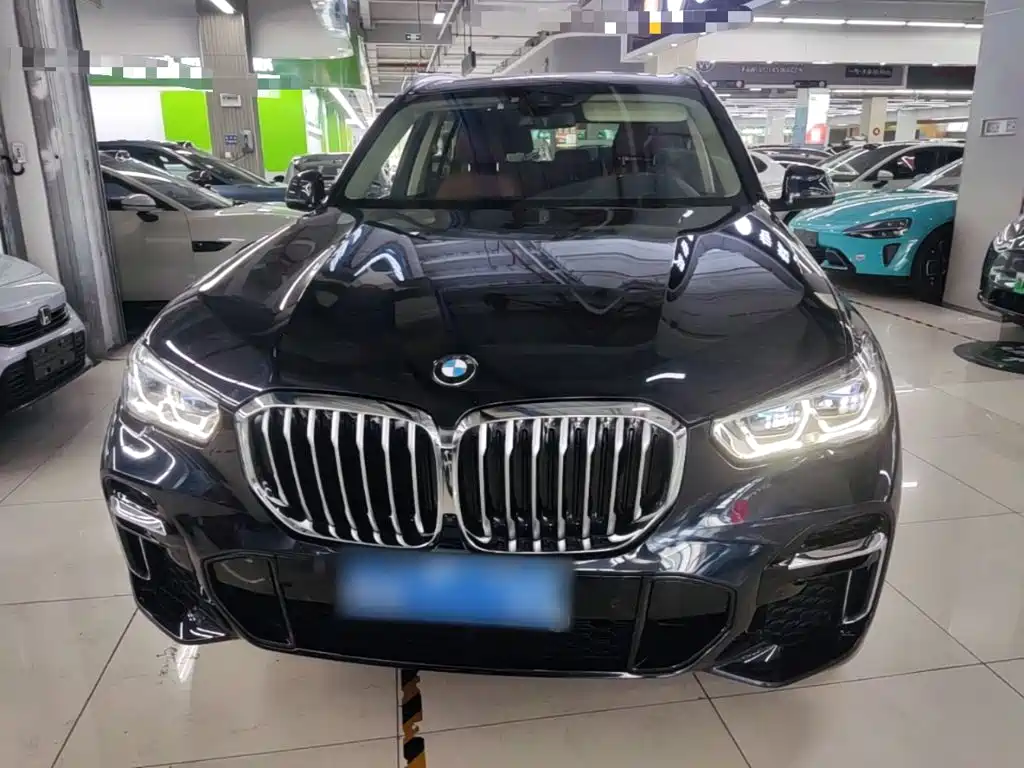 BMW X5 2022 2022 xDrive 30Li Premium M Sport Package