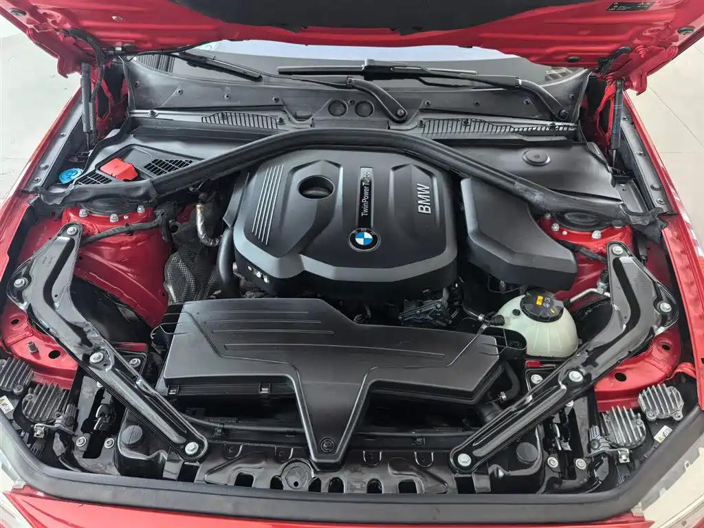 BMW 2 Series (Import) 2015 218i Convertible Coupe фото 14