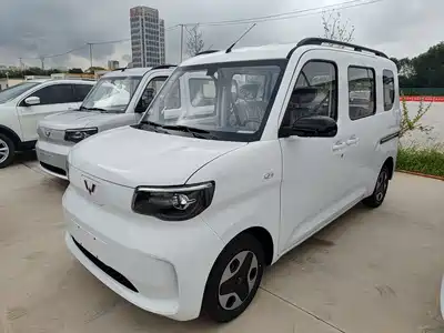 Wuling Sunshine