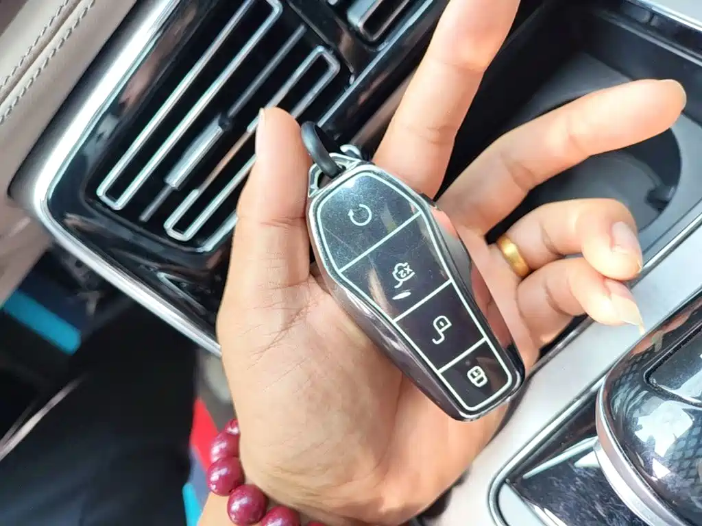 BYD Tang New Energy 2024 2024 Model DM-i Glory Edition 112KM Flagship Type