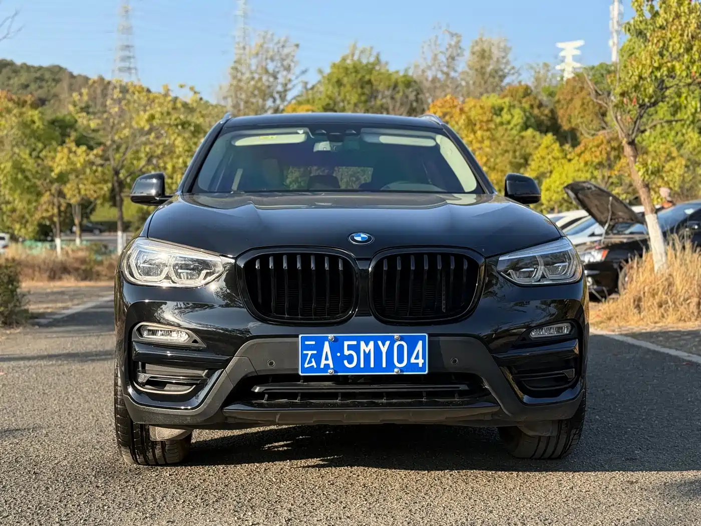BMW X3 2018 xDrive28i Luxury Package China VI фото 4
