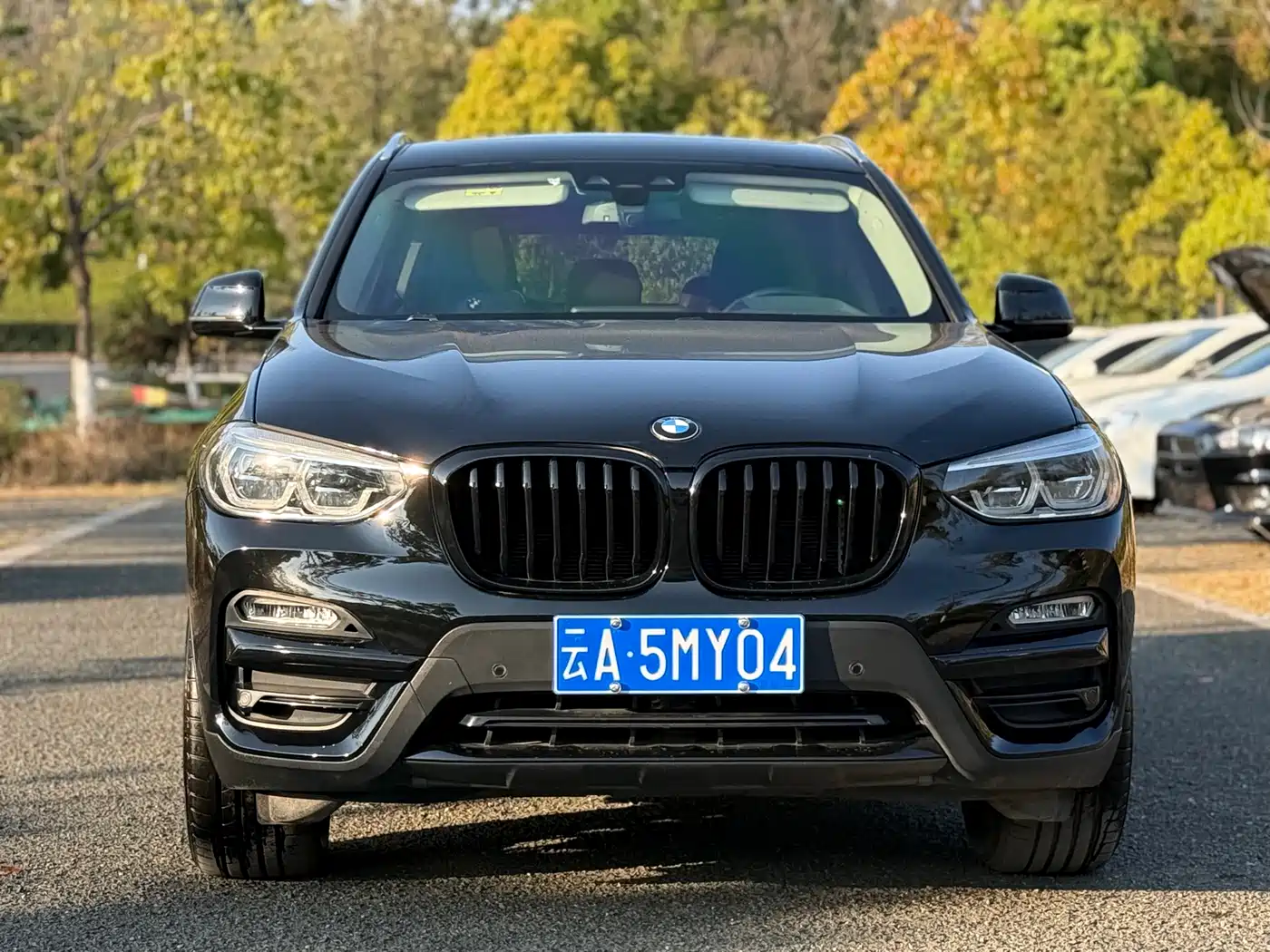 BMW X3 2018 xDrive28i Luxury Package China VI фото 3