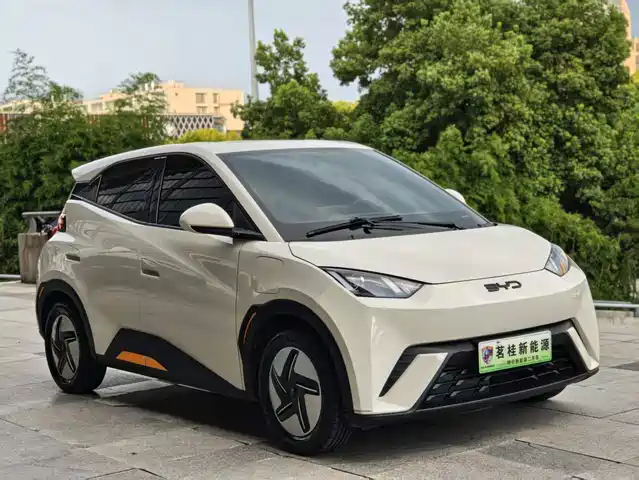 BYD Seagull 2024 Glory Edition 305km Vitality Edition — фото 2