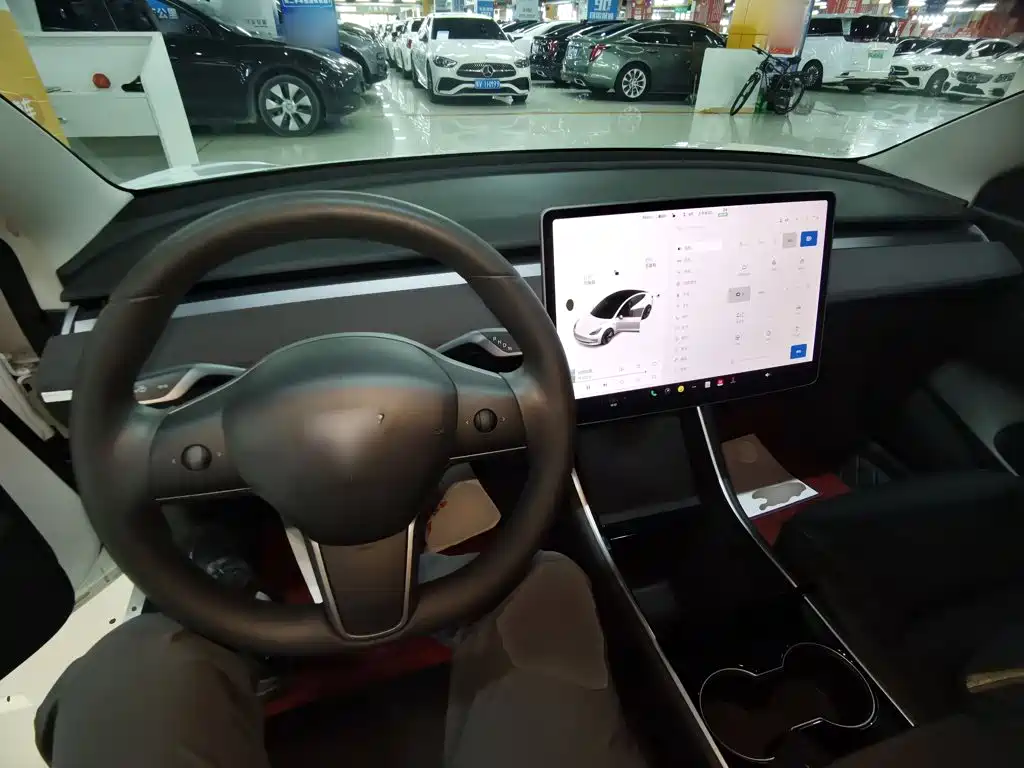 Tesla Model 3 2020 2020 Standard Range Rear-Wheel Drive Upgrade