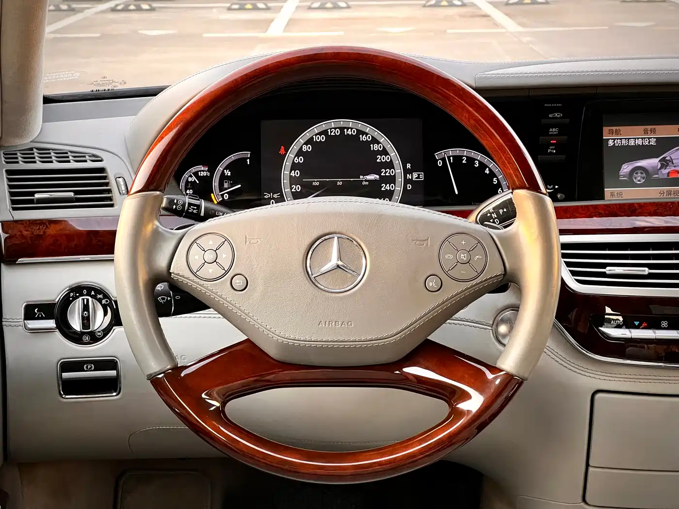 Mercedes-Benz S-Class 2010 S 600 L фото 28