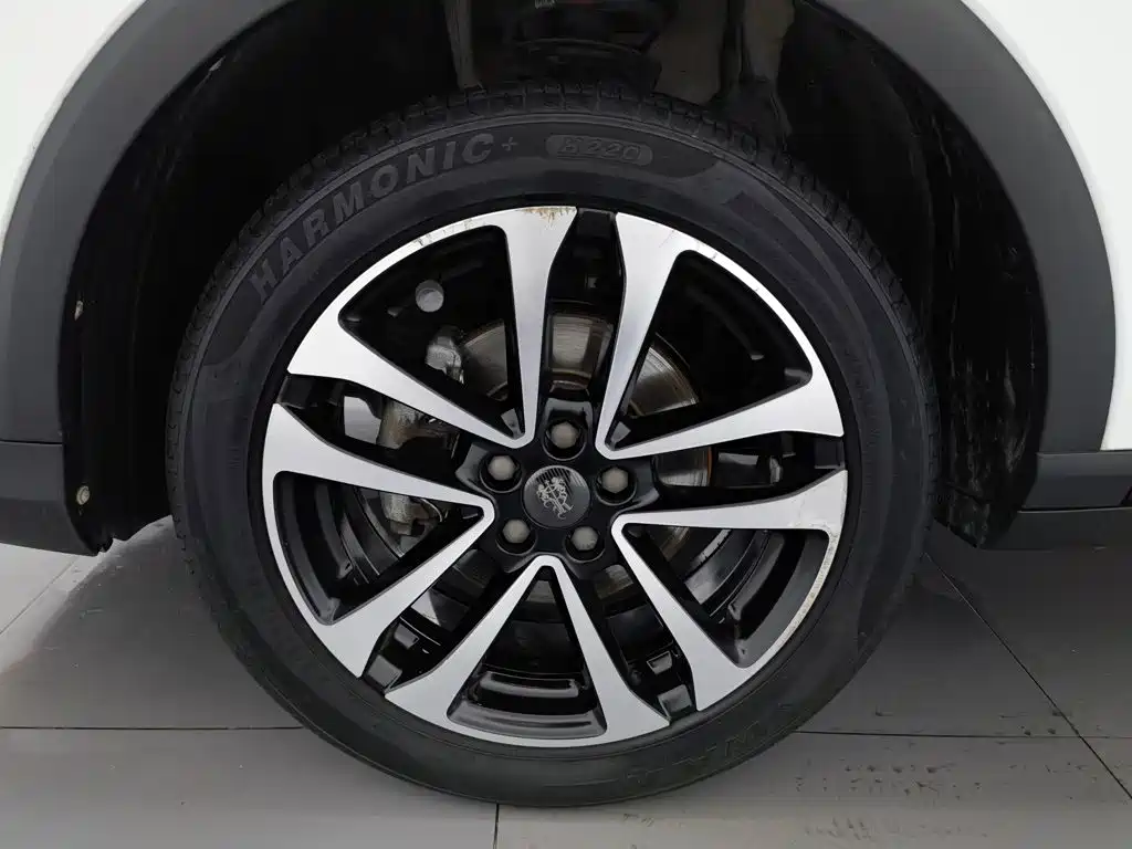 Фото 17 - Roewe RX3
